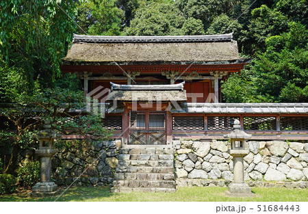 醍醐寺 清瀧宮本殿 京都 醍醐寺 清瀧宮本殿 京都 51684443