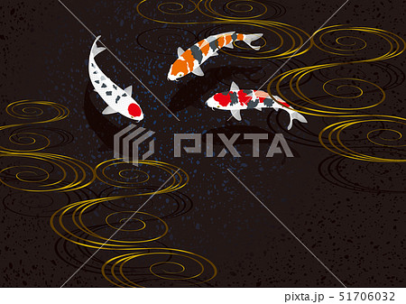 泳ぐ錦鯉 51706032