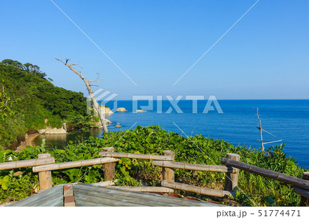 日本海に突き出した加佐の岬 越前加賀国定公園 日本海に突き出した加佐の岬 越前加賀国定公園 51774471