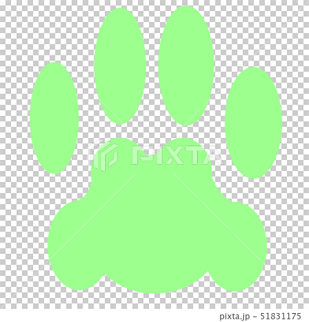 貓肉球 綠色 插圖素材 圖庫