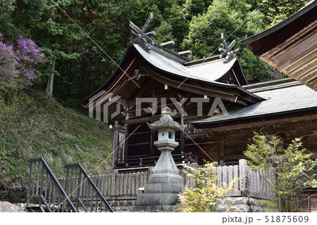 木山神社本殿の春の風景　岡山県真庭市 51875609