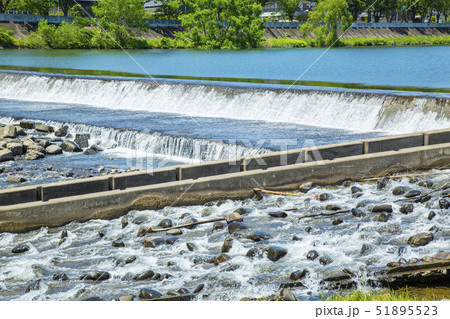 魚道 川 魚道 川 51895523