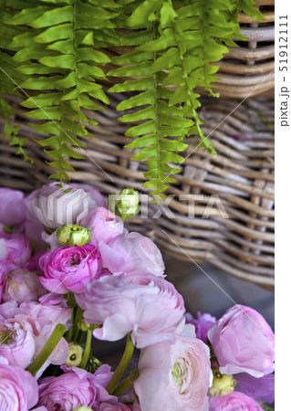Peonies 51912111