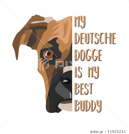 Best Friend Boxer Best Friend Boxer 51925231