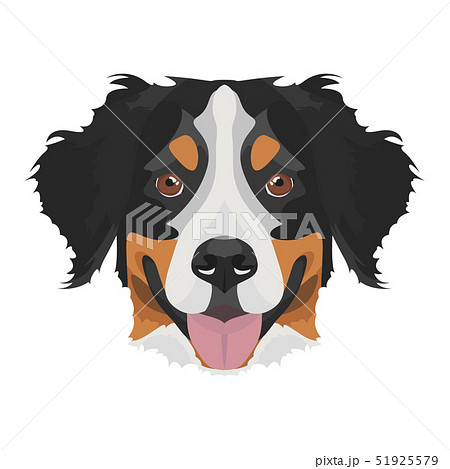 Illustration Bernese Mountain Dogのイラスト素材