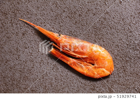 干し甘えび。 51929741