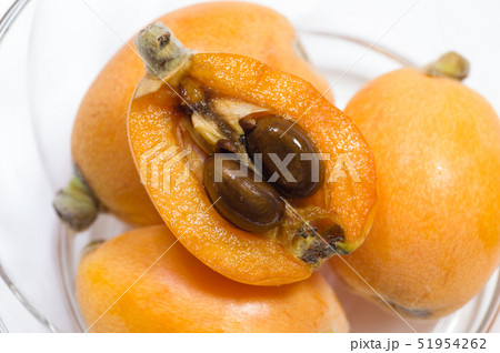 琵琶の実 51954262