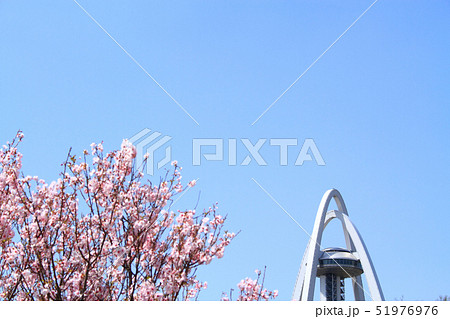 一宮市　ツインアーチ１３８と桜 51976976