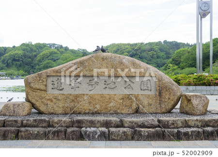蓮花寺池公園の銘板(静岡県藤枝市) 蓮花寺池公園の銘板(静岡県藤枝市) 52002909