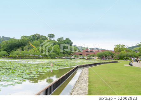 蓮花寺池公園の風景（静岡県藤枝市） 52002923