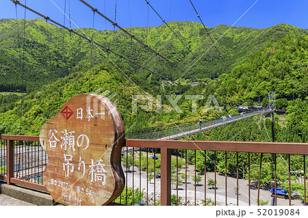 十津川村　谷瀬の吊り橋 52019084