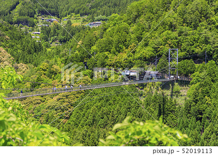 十津川村　谷瀬の吊り橋 52019113