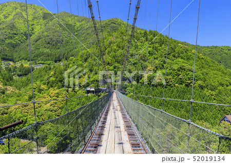 十津川村　谷瀬の吊り橋 52019134