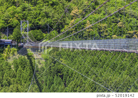 十津川村　谷瀬の吊り橋 52019142
