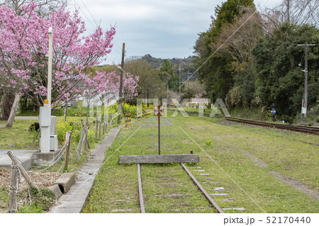 春の小湊鉄道　上総中野駅 52170440
