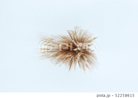 bamboo Toothpick in plastic wrap isolated on white 52258615
