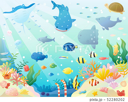 かわいい海の生き物のイラストのイラスト素材 52280202 Pixta