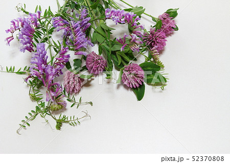 野の花のブーケ 52370808