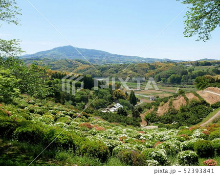 春の田原坂公園と木葉山 (熊本市田原坂史料館) 春の田原坂公園と木葉山 (熊本市田原坂史料館) 52393841
