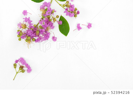 Beautiful purple flower bouquet is blooming put on 52394216