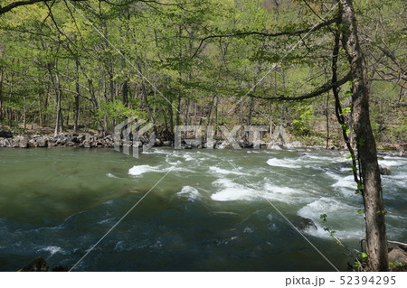 奥入瀬川奥入瀬渓流 52394295