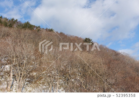 山地 52395358
