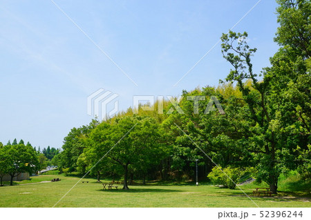 蜻蛉池公園 大阪府 52396244