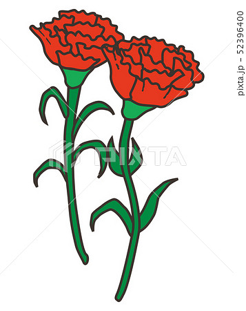 カーネーション carnation カーネーション carnation 52396400