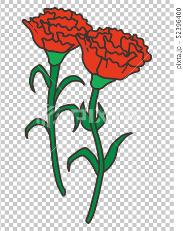 カーネーション carnation カーネーション carnation 52396400