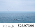 済州島 海 釣り 52397399