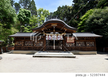 鷺森神社 拝殿 鷺森神社 拝殿 52397444