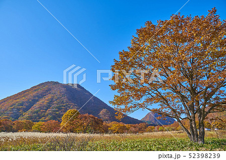 秋の群馬県榛名湖町の榛名湖メロディーライン(県道33号)付近から榛名富士と烏帽子ヶ岳を見る 52398239