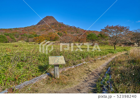 秋の群馬県榛名湖町の榛名湖メロディーライン(県道33号)付近のゆうすげの道から相馬山を見る 52398240
