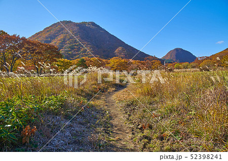 秋の群馬県榛名湖町の榛名湖メロディーライン(県道33号)付近から榛名富士と烏帽子ヶ岳を見る 52398241