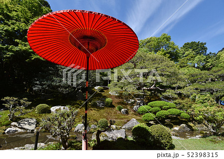 旧竹林院　野点傘 52398315