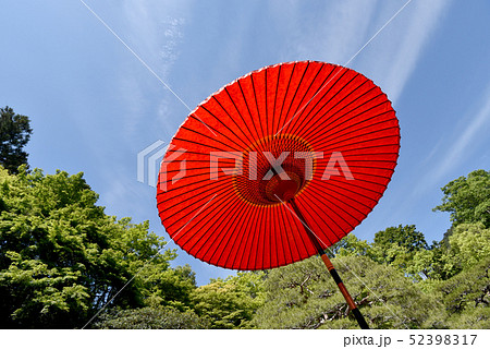旧竹林院 野点傘 旧竹林院 野点傘 52398317