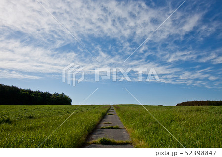 岐阜県恵那市　東農牧場2 52398847