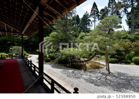 新緑の曼殊院 大書院前の庭園 新緑の曼殊院 大書院前の庭園 52398950