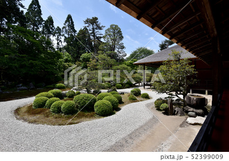 新緑の曼殊院 枯山水の庭園 新緑の曼殊院 枯山水の庭園 52399009