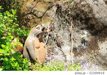 狸の置物（焼きもの） 52399919