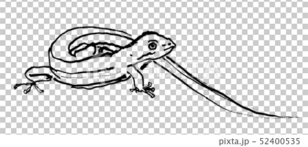 カナヘビ 線画 カナヘビ 線画 52400535