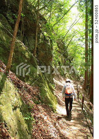 奥多摩むかし道を奥多摩湖から歩く（とても狭い道で注意が必要）：5月初旬 52400865