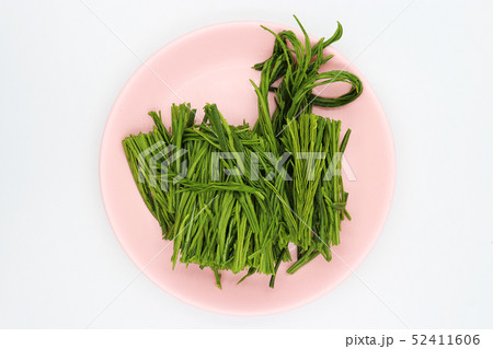 Shopped Climbing Wattle in pink dish on white 52411606