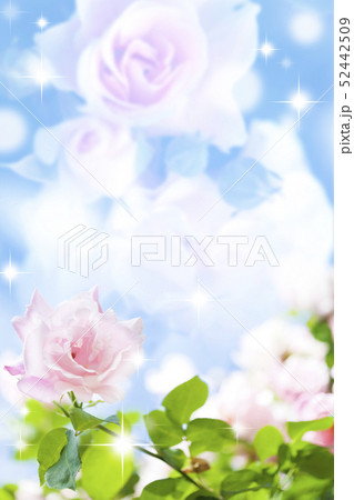 花イメージ 52442509