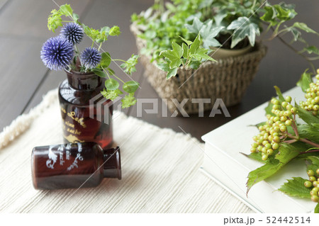 小瓶に入った植物イメージ 小瓶に入った植物イメージ 52442514