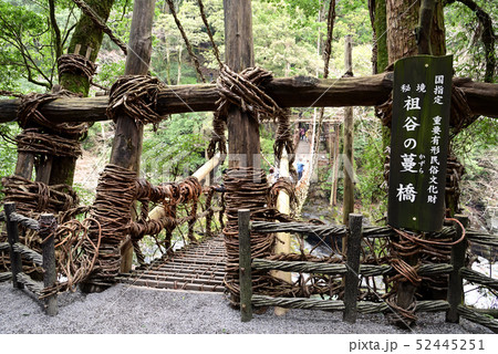 日本三奇橋 祖谷のかずら橋 52445251