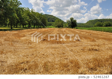 Rural landscape in Dordogne 52461287