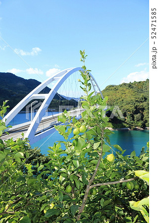 瀬戸内レモン 52471585