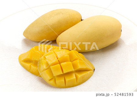 マンゴー マンゴー 52481593