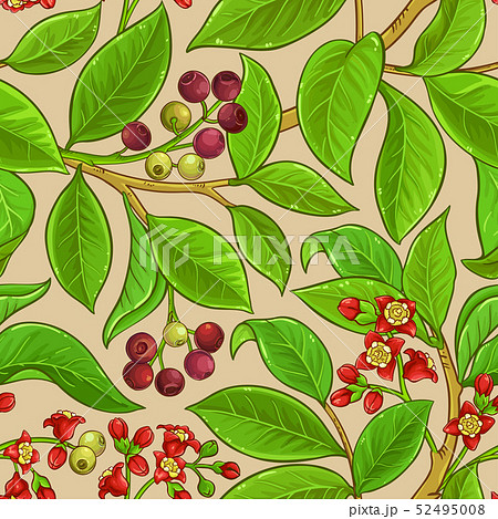 sandalwood vector pattern 52495008